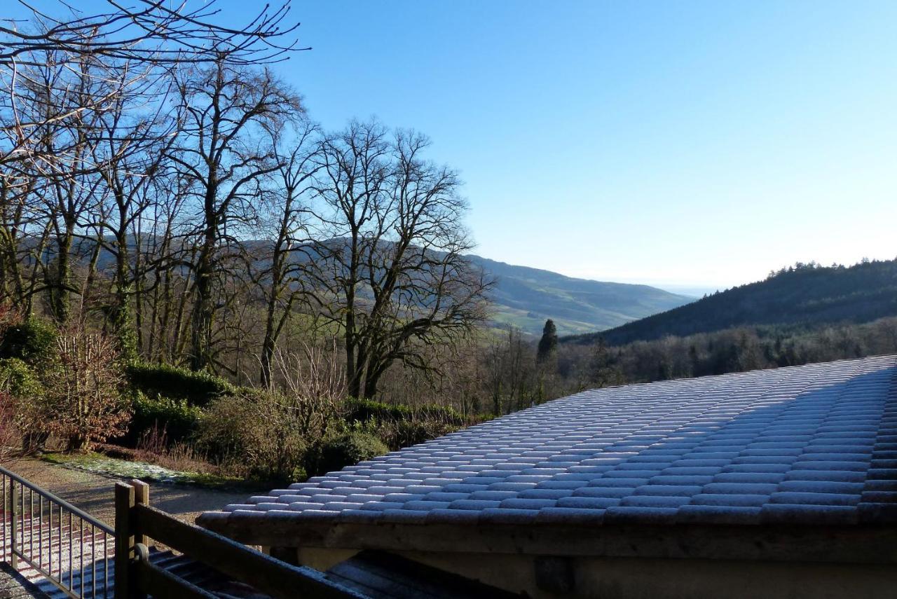Gite Du Hameau D'Amignie Vernay Buitenkant foto